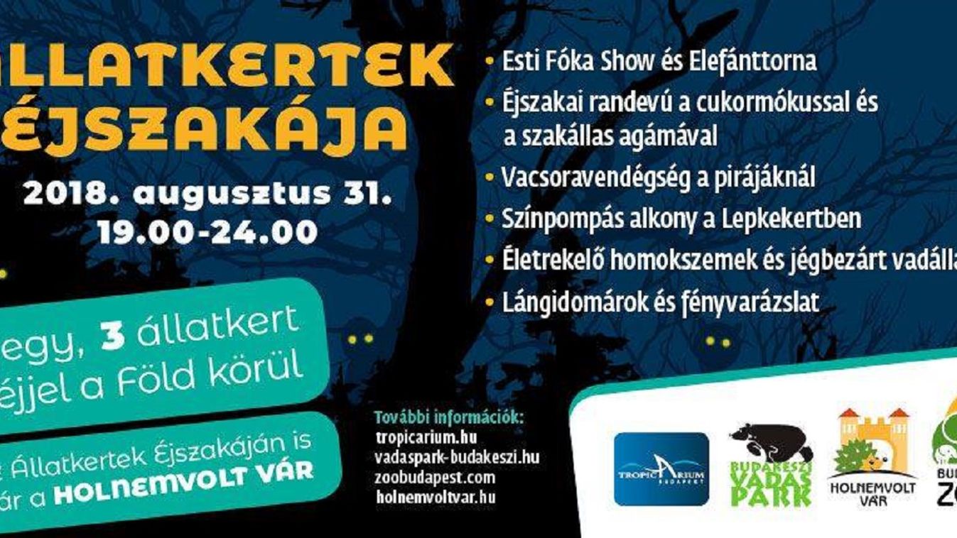 https://cdn.borsonline.hu/2018/08/815GkMVd9PPAuUOGXR72H50AmX9prYO22o7SjIcTnr0/fill/1347/758/no/1/aHR0cHM6Ly9jbXNjZG4uYXBwLmNvbnRlbnQucHJpdmF0ZS9jb250ZW50L2FmYmYyYmY2M2JlOTQzZmY4MGRiZWJkYjE4NDM1MzI0.jpg
