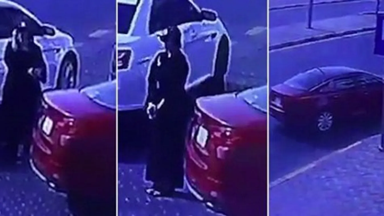 Két hónappal az első női sofőr után, megjelent az első szaúdi női kocsitolvaj is!