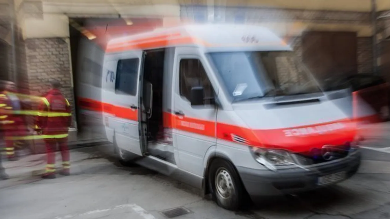 Orvosi tévedés volt hazaküldeni Vilmost, aki aztán az utcán halt meg