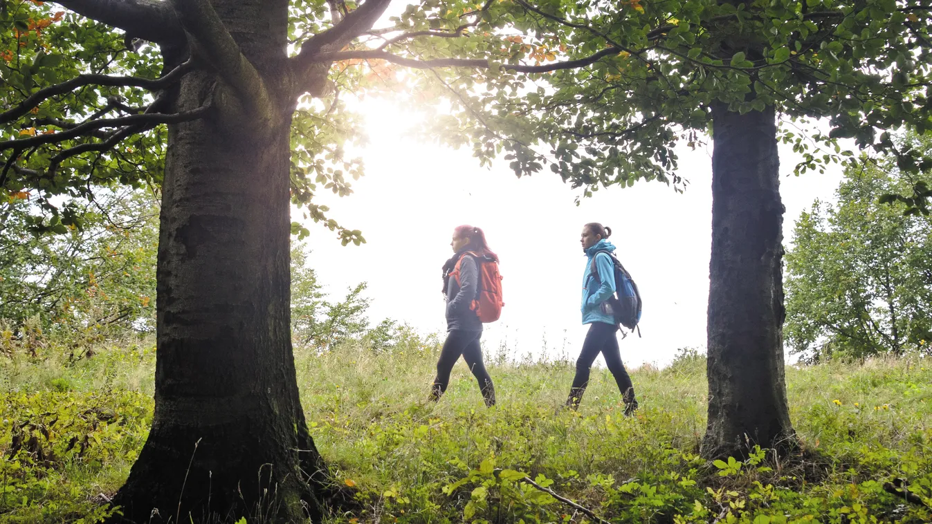 High-Tech, Adrenalin, Wellness és őzikék