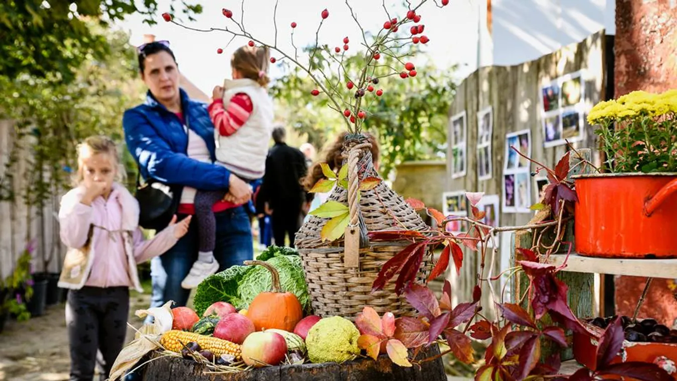 Nyitott porták várnak Szigetmonostoron a Piros Lábos jegyében