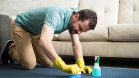 Hasznos praktikák a szőnyeg tisztításához