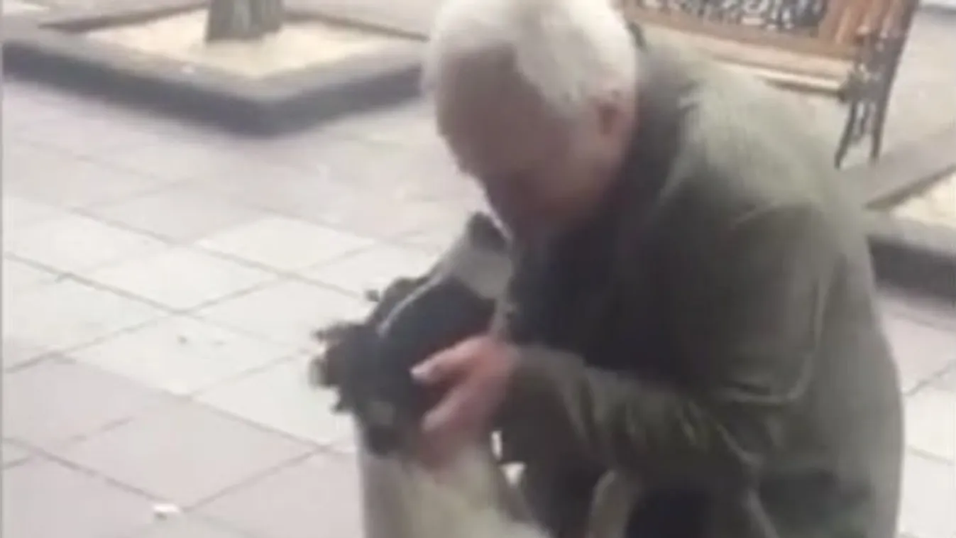 Három év után bukkant rá elveszett kedvencére egy bácsi - videó