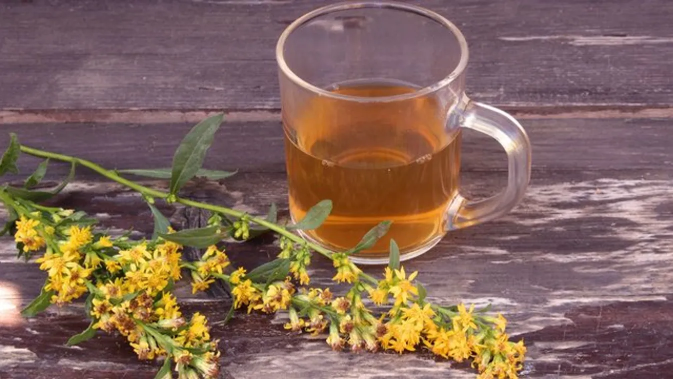 Nem is hinné: ez a legjobb tea méregtelenítésre