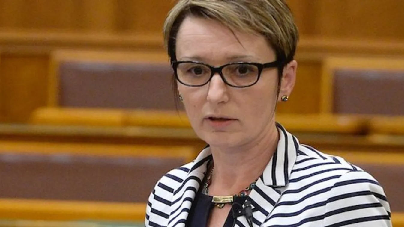 Sargentini-jelentés - Fidesz: elutasítjuk Magyarország megbélyegzését!