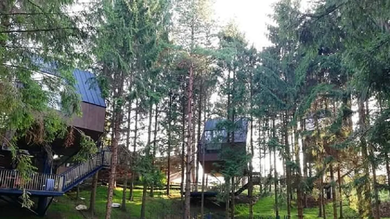 Éjszakázott már a fán? A legújabb horvát glampingben megteheti!