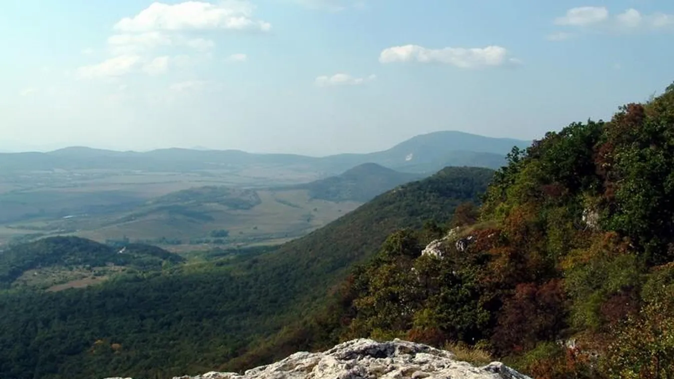 Számozott melegedő odúkat kaptak a Pilis madarai