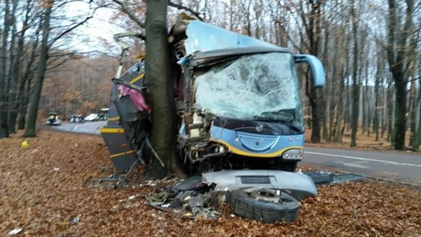 Utasokkal teli busz csapódott fának a Mátrában: ha nem hajt fának a sofőr, szakadékba zuhan a busz - fotó