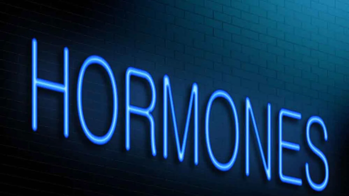 Hormongyilkosok a környezetben