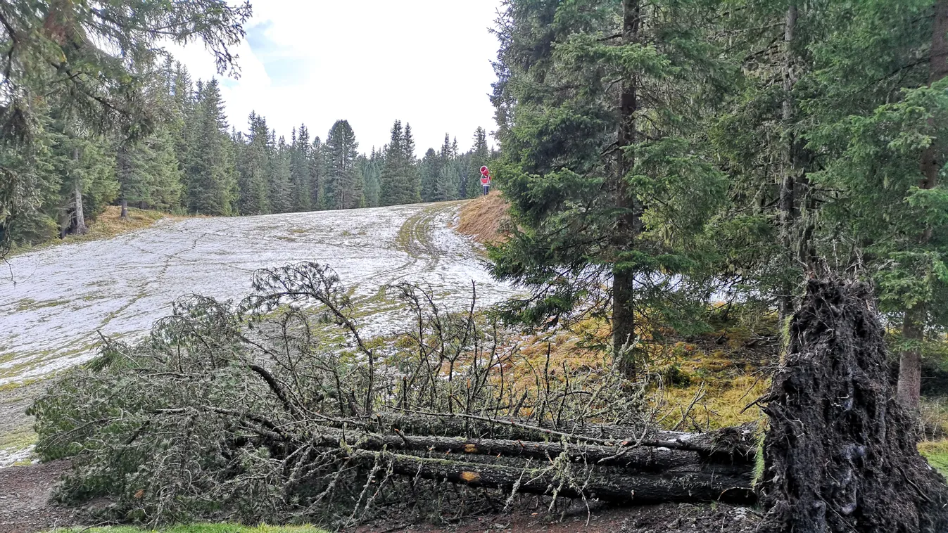 Emberéleteket és egész erdőterületeket követel az olaszországi tomboló vihar