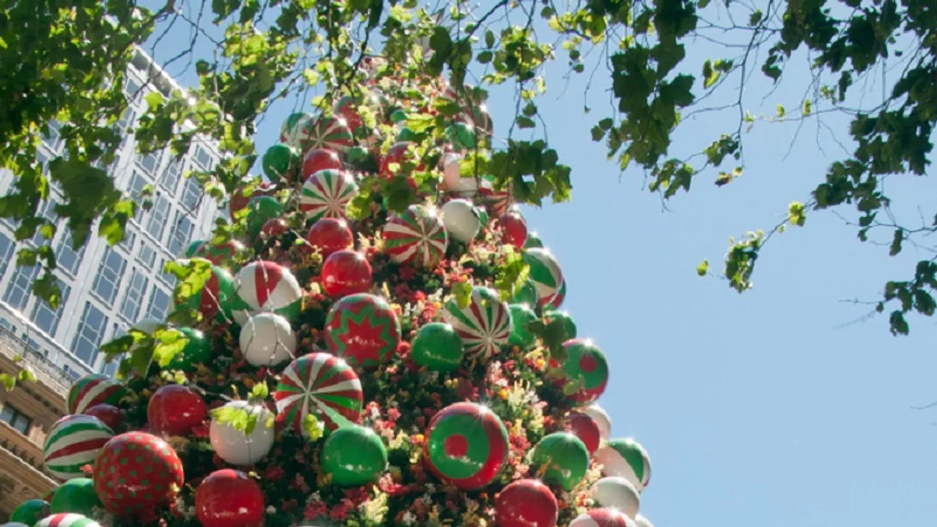 Roskadásig díszítették Sydney hatalmas karácsonyfáját