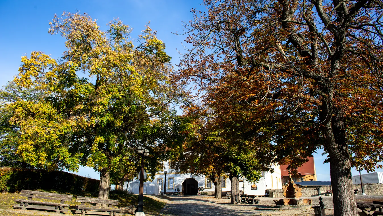 Panorámaliftet is álmodtak az egri várba