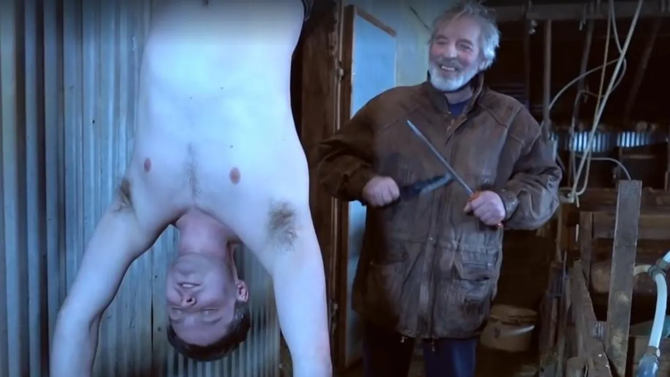 Bizarr videót készített a vegánokról az izlandi farmer