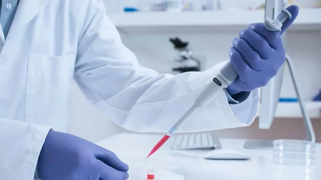 Antibiotikum-rezisztens géneket találtak az Északi-sarkvidéken