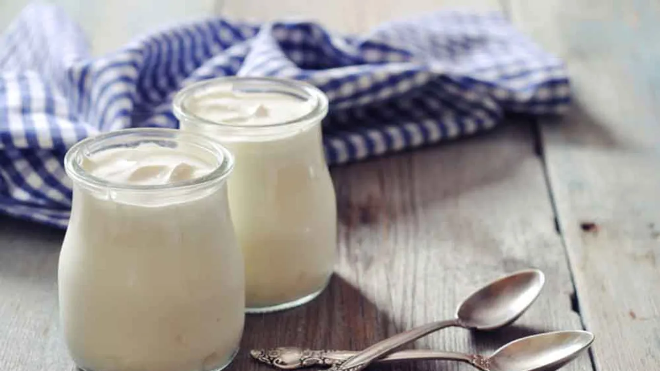 Joghurt kisokos: élőflórás, probiotikus, light és társaik