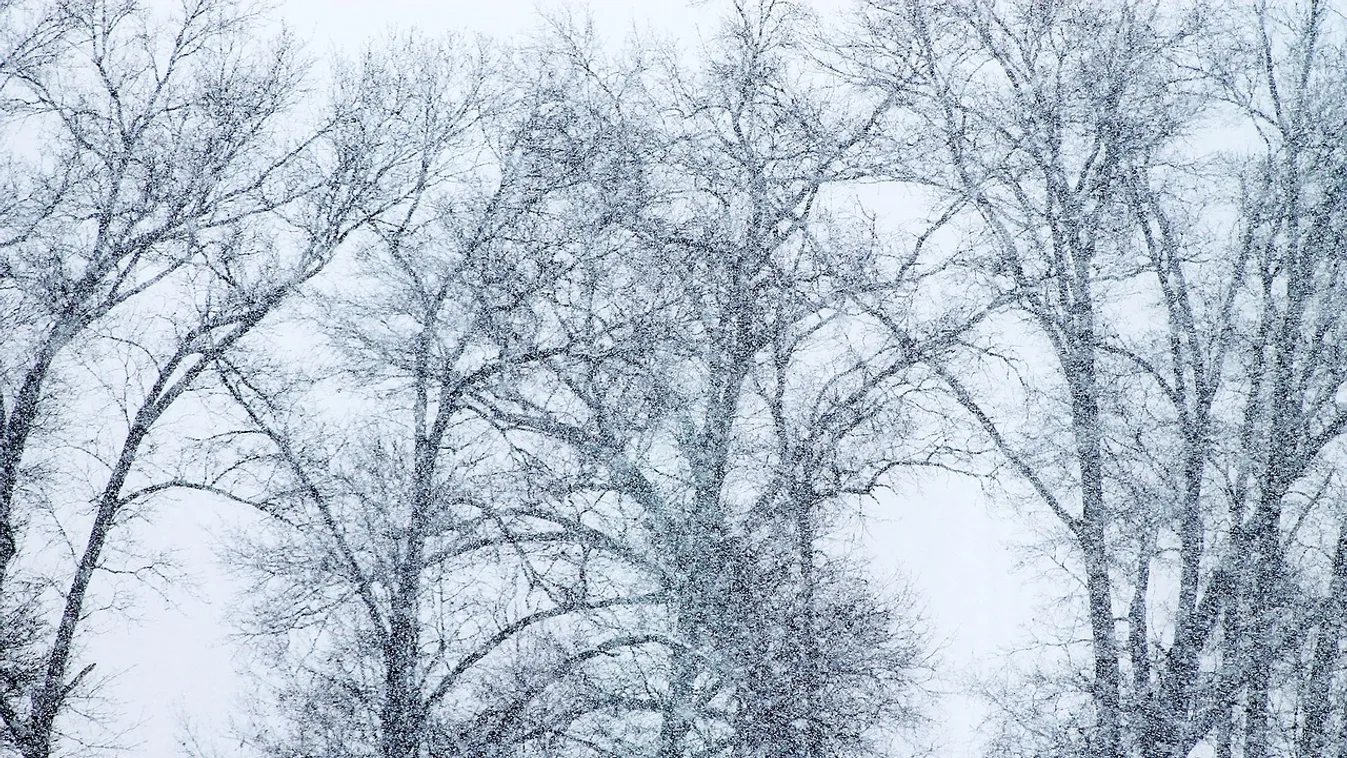 Ausztriában a hadsereg menti ki a hó fogságában rekedt embereket