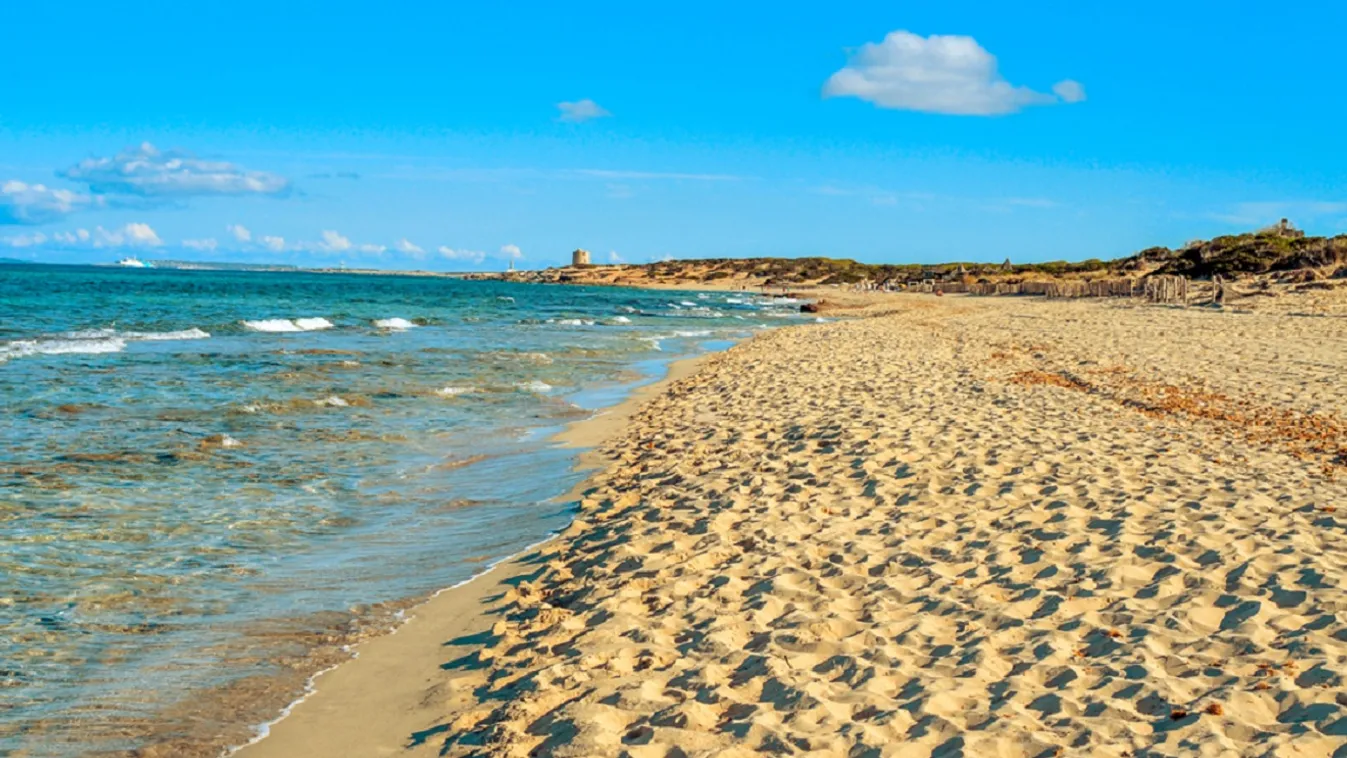 Szexelő turisták teszik tönkre az ibizai nudistastrand élővilágát