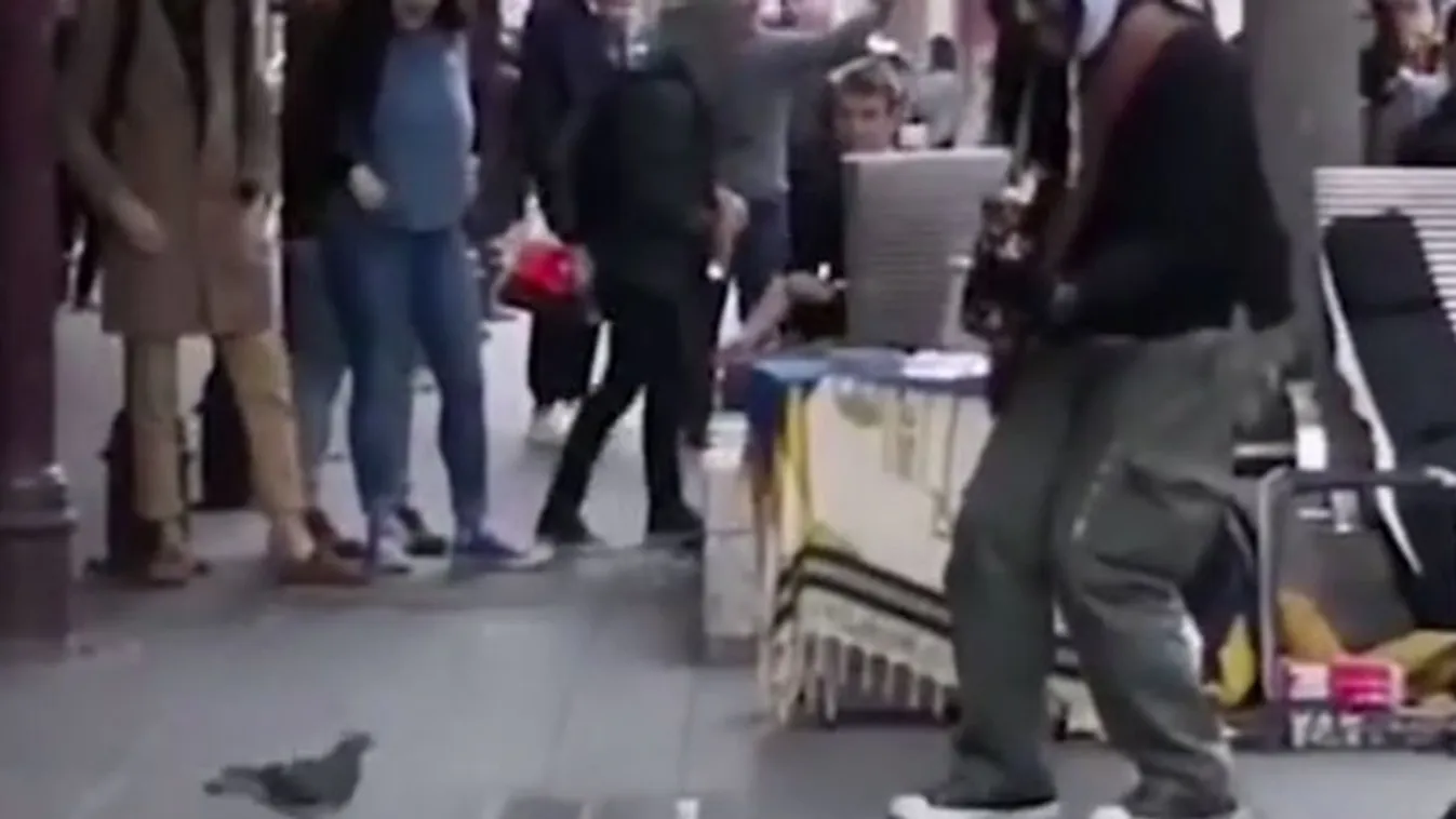 Olyan jól nyomta az utcazenész, hogy még egy galamb is táncra perdült - videó