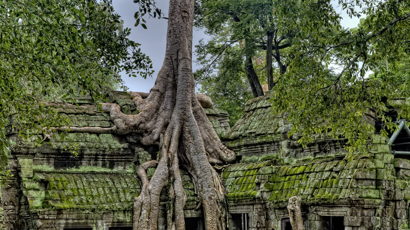 A városi elit elvándorlása jelentette Angkor vesztét a kutatók szerint