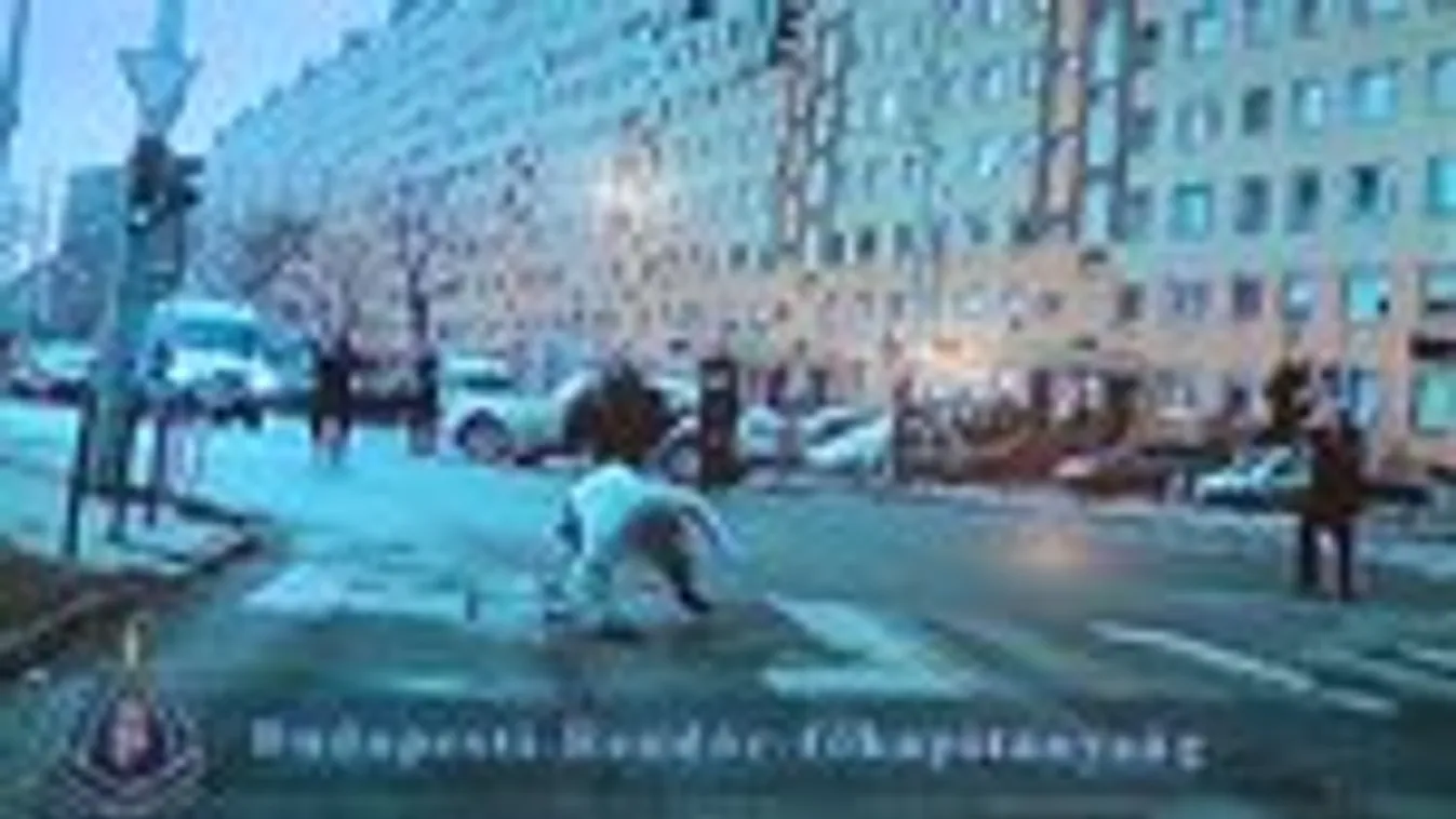 Megrázó felvételeket mutatott be a rendőrség a pénteki embervadászatról - videó