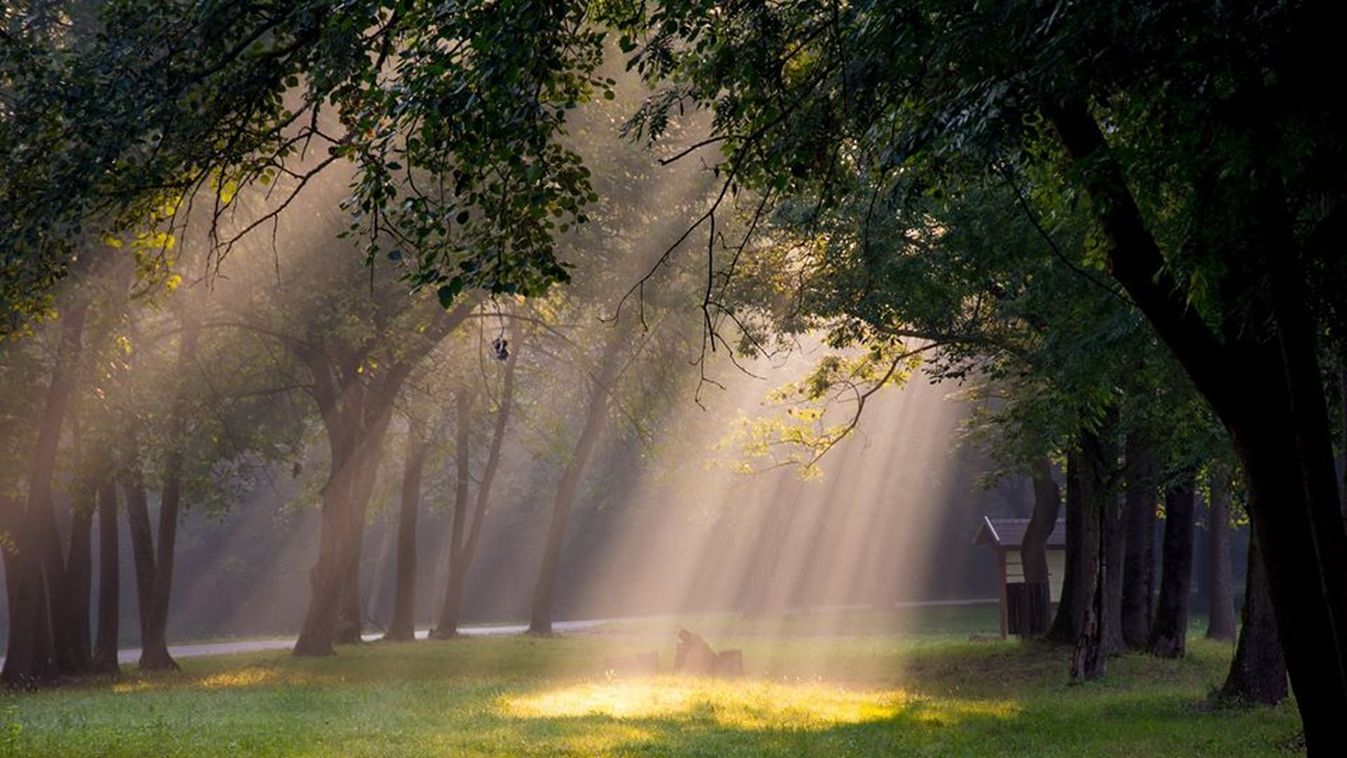 https://cdn.borsonline.hu/2019/02/jiV7goID8QjSj9AfXUCroMnkgYX0TDAuf7qLjZORMlY/fill/1347/758/no/1/aHR0cHM6Ly9jbXNjZG4uYXBwLmNvbnRlbnQucHJpdmF0ZS9jb250ZW50L2Y3MzJmM2JiYzdjMDRkOGVhMTA4ZGQ4Yjc1ZGEwNzIx.jpg