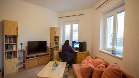 Albérletkereső: Nappali fényben látszik jól a beázás