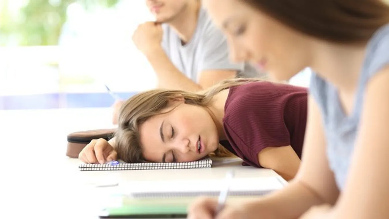 Mindössze kétszázezerre büntették az anyját, aki hagyta, hogy a gyereke egy évet lógjon az iskolából 