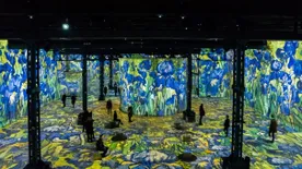 Ilyen is lehet a múzeum! A párizsi Van Gogh kiállítás magába szippant, és nem enged