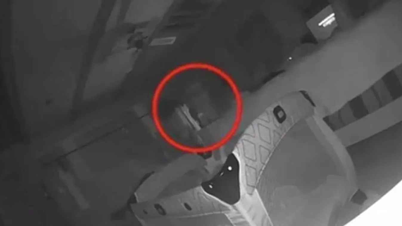 Vérfagyasztó! Rejtélyes karmolások jelentek meg a kisbabán – az éjjeli kamera fedte fel a tettest – videó