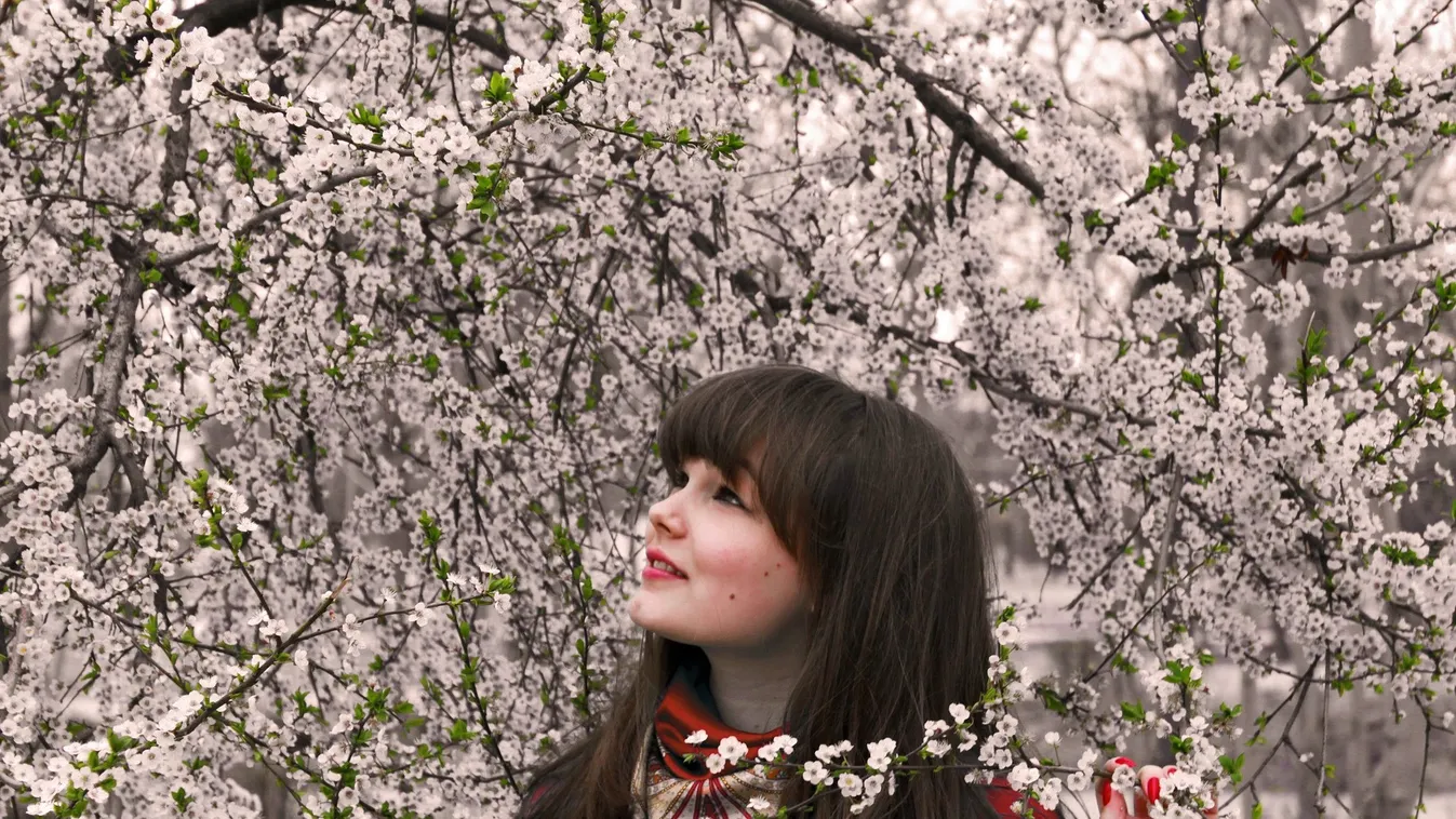 Sakura ünnepre várnak a Fűvészkertbe!