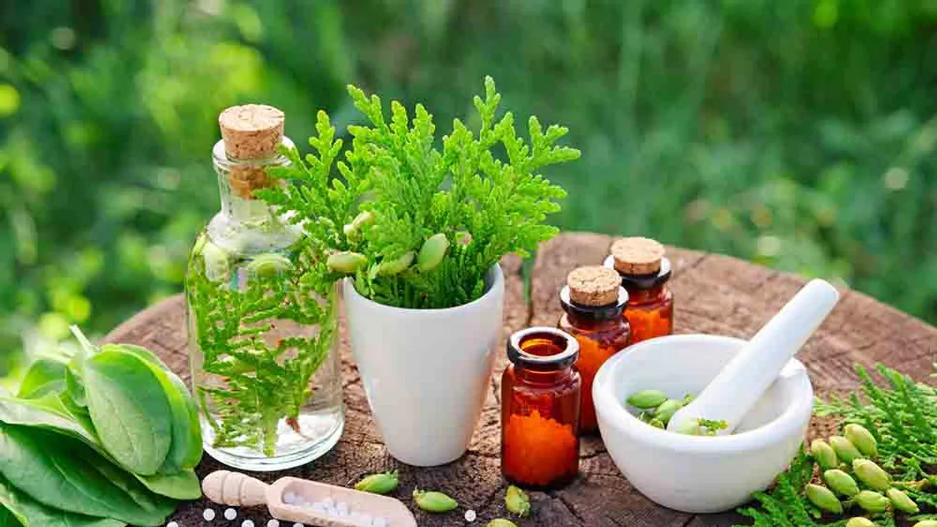 Homeopátia – orvosság vagy placebo?