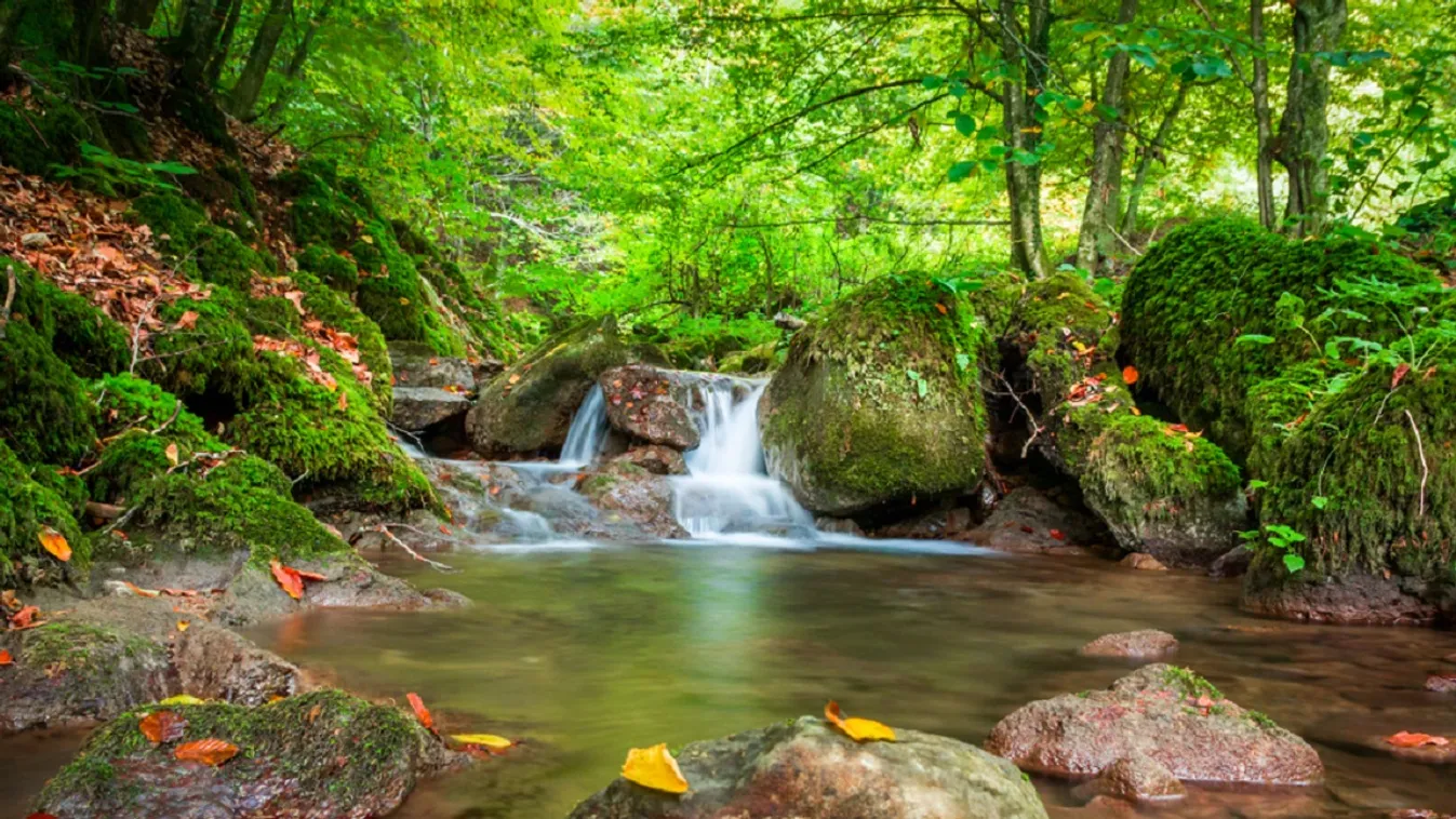 Menő tervekkel nyitotta meg a szezont a Papuk Nemzeti Park