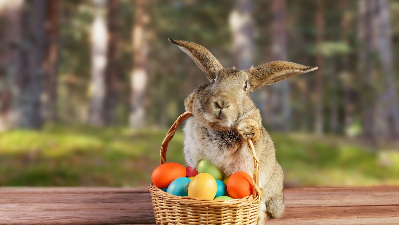 https://cdn.borsonline.hu/2019/04/PFzrjWE-S-u3xgjdP1A6zSikJqU4iXjvPjpVuEjllBU/fill/1347/758/no/1/aHR0cHM6Ly9jbXNjZG4uYXBwLmNvbnRlbnQucHJpdmF0ZS9jb250ZW50L2M0OTQwODc1MTBmMTRkYzBiMTIyNmM4MmYzNmM2ZTM5.jpg