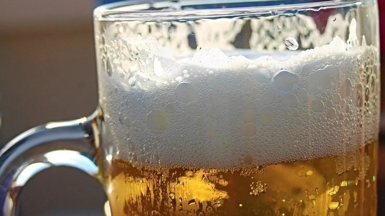 Rekordmennyiségű sört főztek tavaly Csehországban