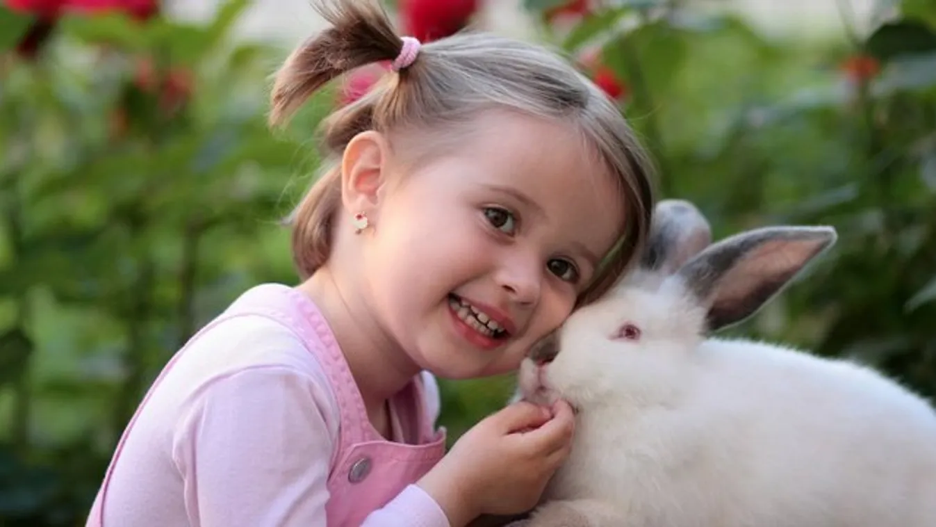 Élő nyulat húsvétra? Nem biztos, hogy jó vége lesz