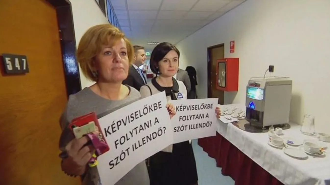 Lepatkányozta a Fidesz szavazóit Bangóné