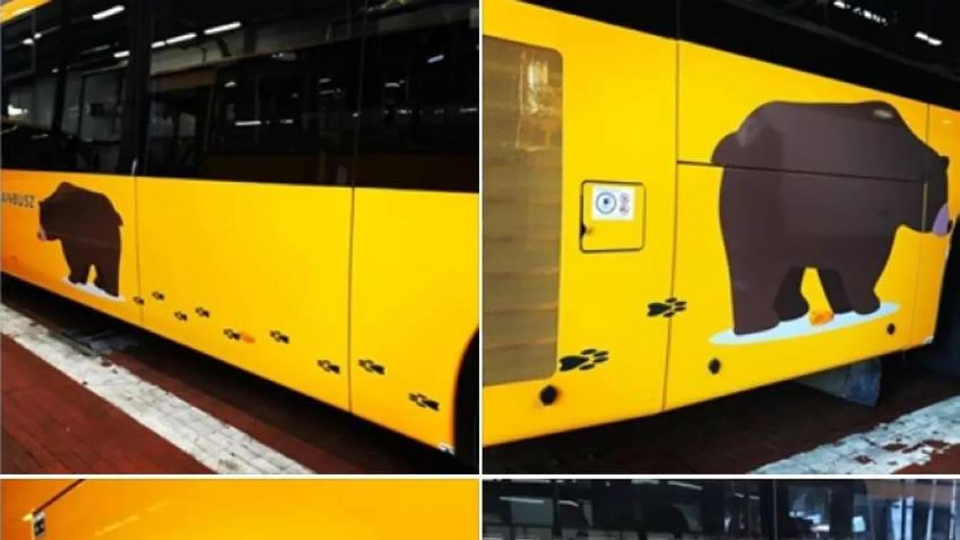 Volánbusz járat indult Budapestről a veresegyházi Medveotthonba