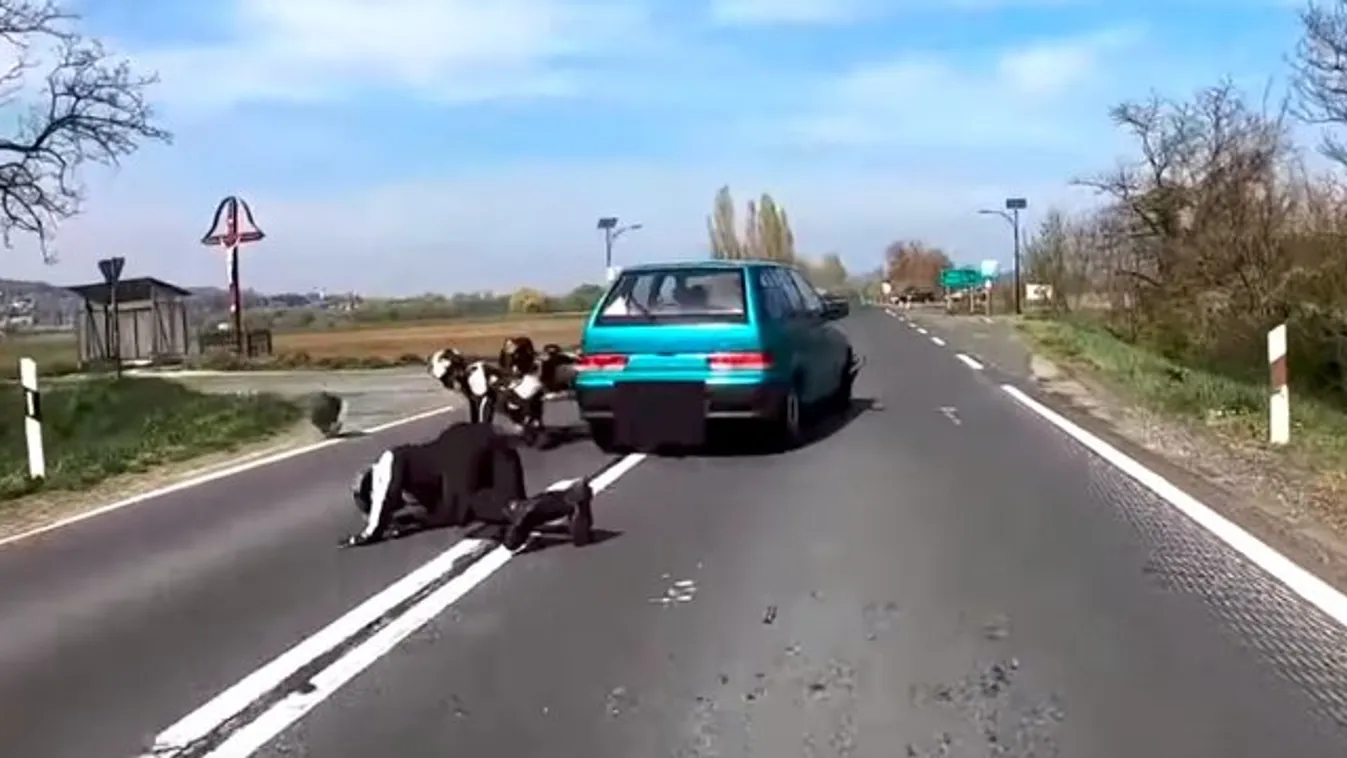 Hatalmas felháborodást keltett egy magyar úton történt balesetről készült videó