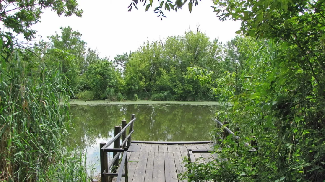 Nagy lendülettel szépítik a Tisza-parti strandot Adán