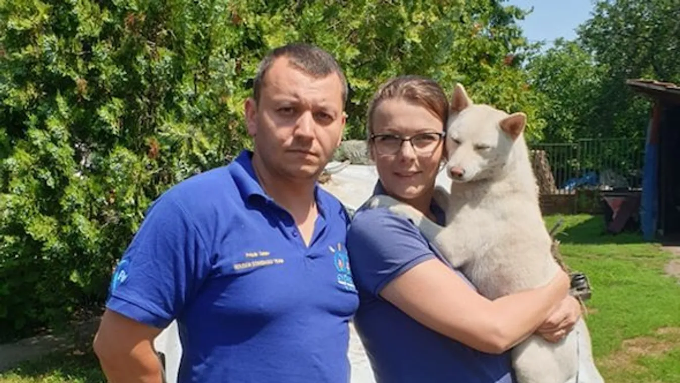 Fejére borult kocsik az M3-asnál: forgalommal szemben menekült a vízzel telítődő autóból Hanka kutya