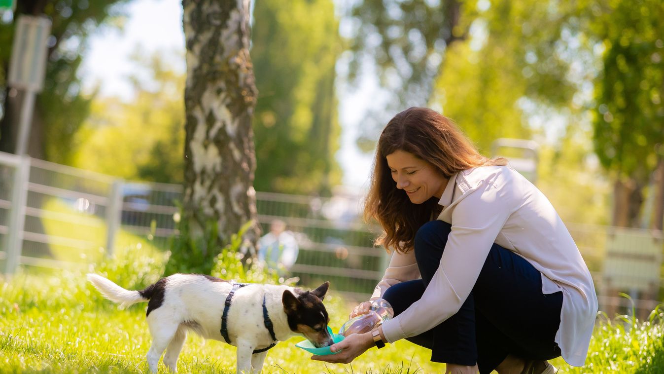 https://cdn.borsonline.hu/2019/06/SXTIzQ6sI9WE8Ze3FAQ0e77q3WSJIVdHYinrH_DTLso/fill/1347/758/no/1/aHR0cHM6Ly9jbXNjZG4uYXBwLmNvbnRlbnQucHJpdmF0ZS9jb250ZW50L2Y0MTkxYjhjNGEzZDQ4MjY4YTFlZDA1ZWI2ZjA2OGI2.jpg