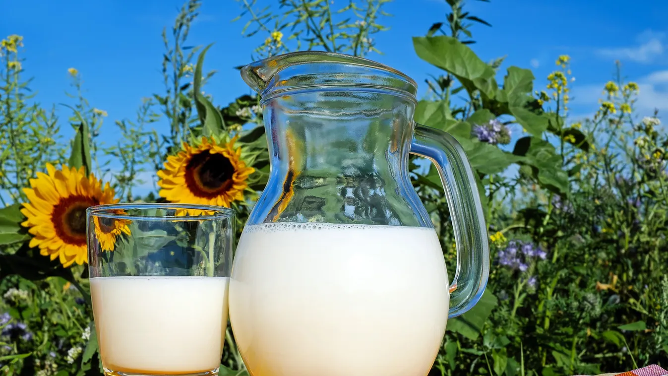 Napi fél liter tej tényleg távol tartja az orvost? Tények és tévhitek a tejről