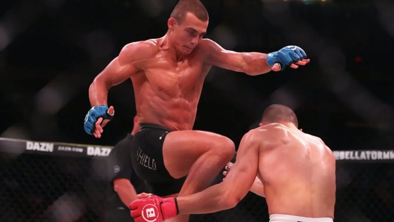 Masszőrből lett MMA-sztár Ádám