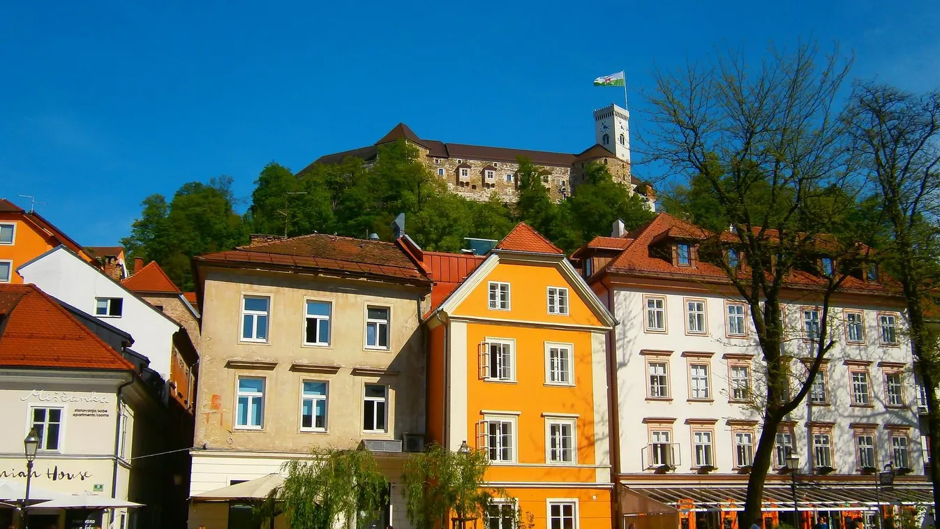 Ljubljanában már italos kartonokból készül a WC-papír