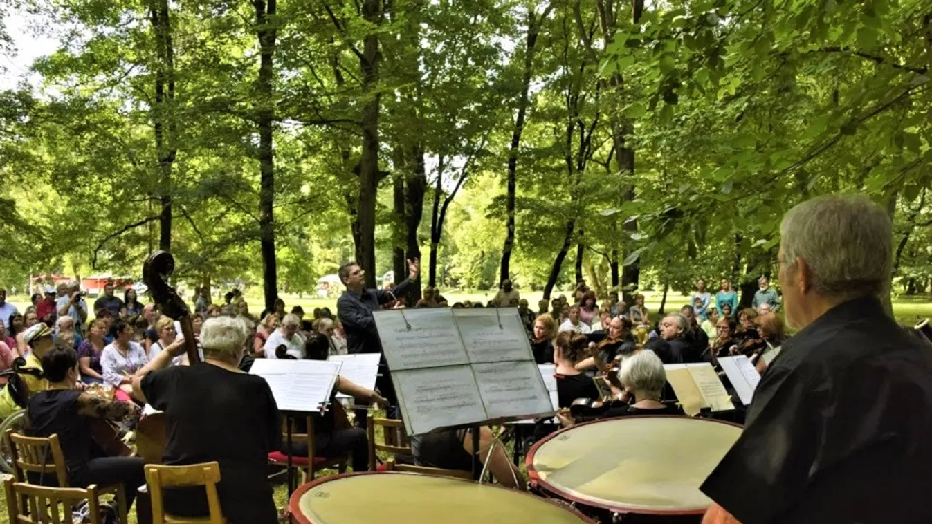 Egyre hangosabban muzsikál az erdő!
