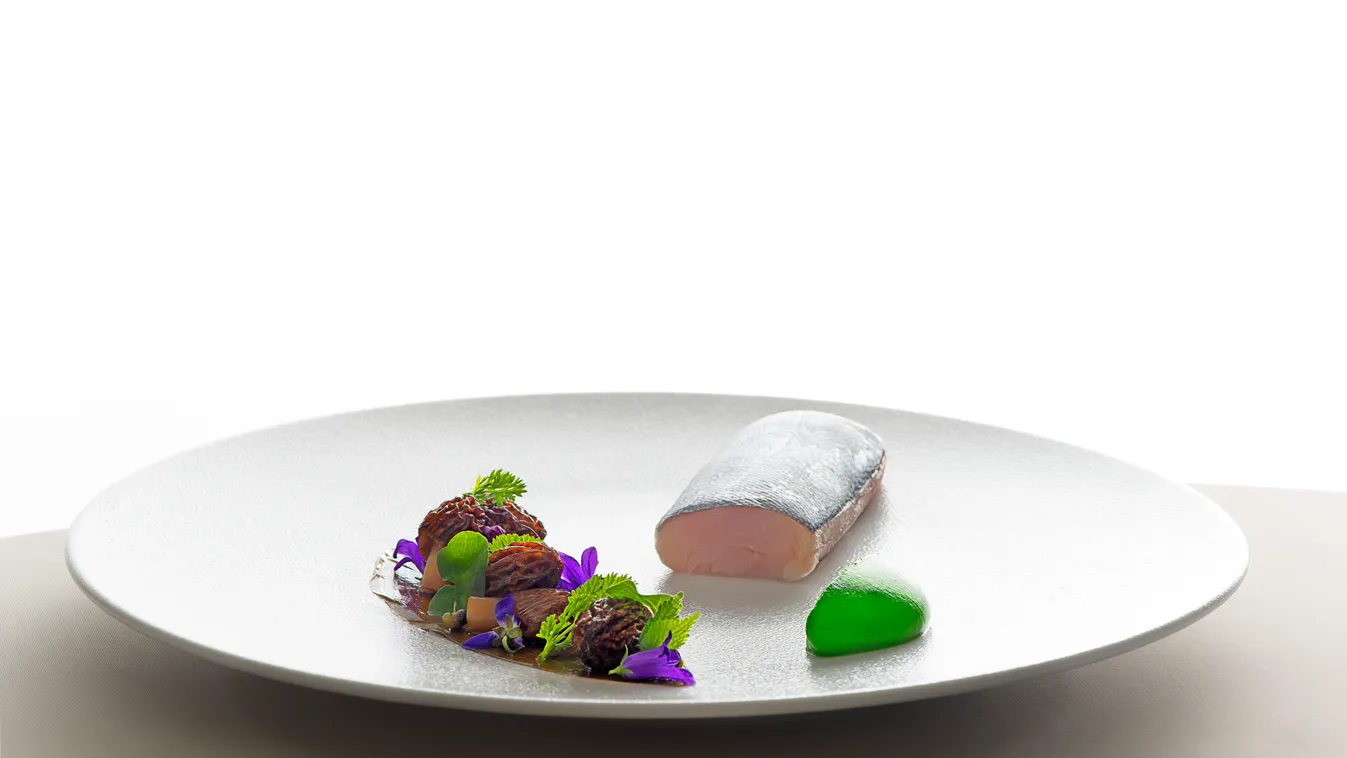 Magyar versenyzőnek is szurkolhatunk a neves Young Chef versenyen