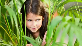 Nagyszülők, figyelem!&nbsp;Zárják el az unokák elől a mérgező növényeket!