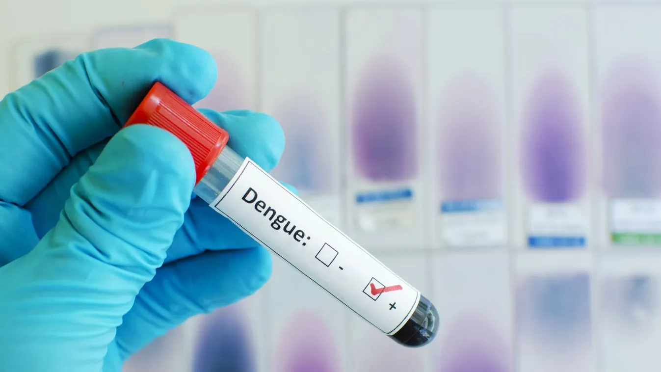 Országos riadókészültség van a Fülöp-szigeteken a dengue-láz miatt