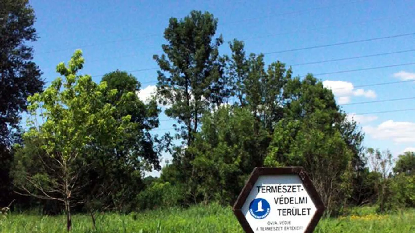 Természetvédelmi terület lett a Rákos-patak melletti apró tó