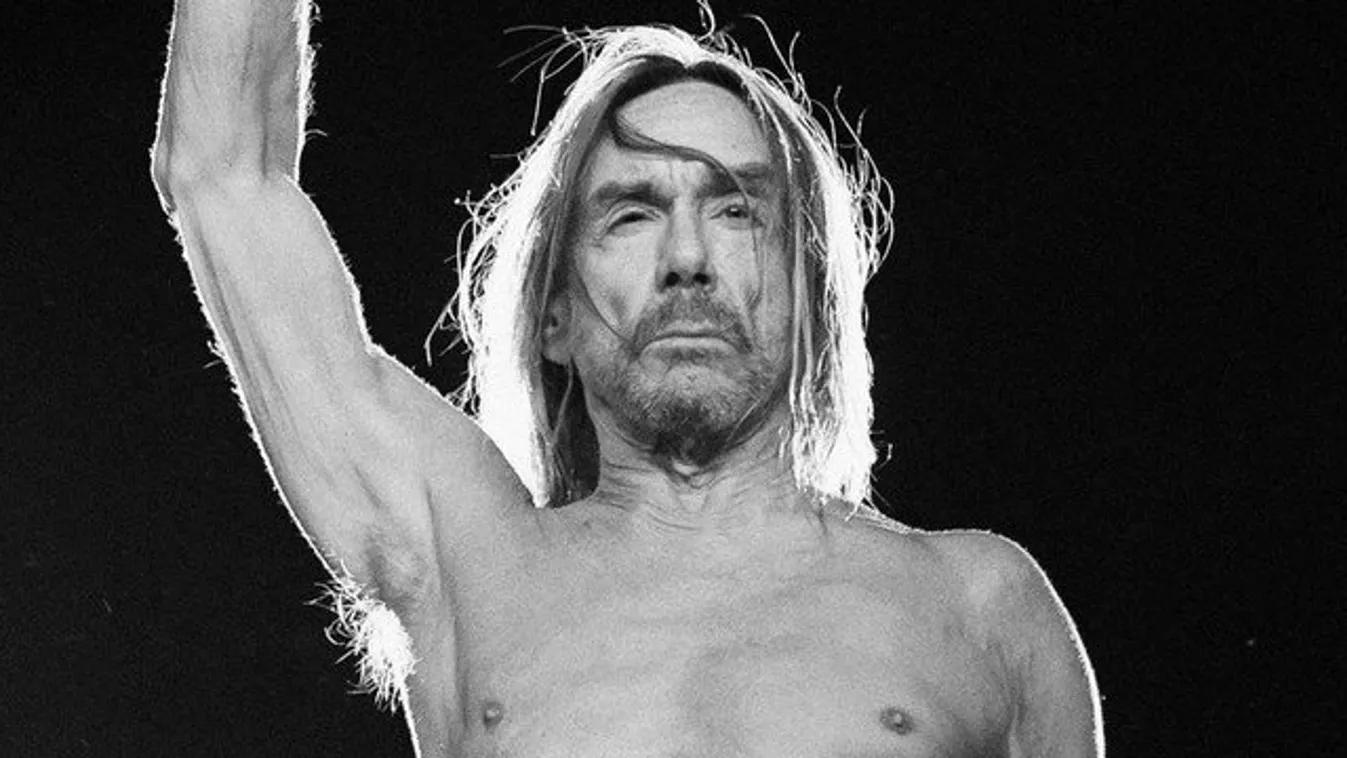 Mindenkit meglepett a punklegenda